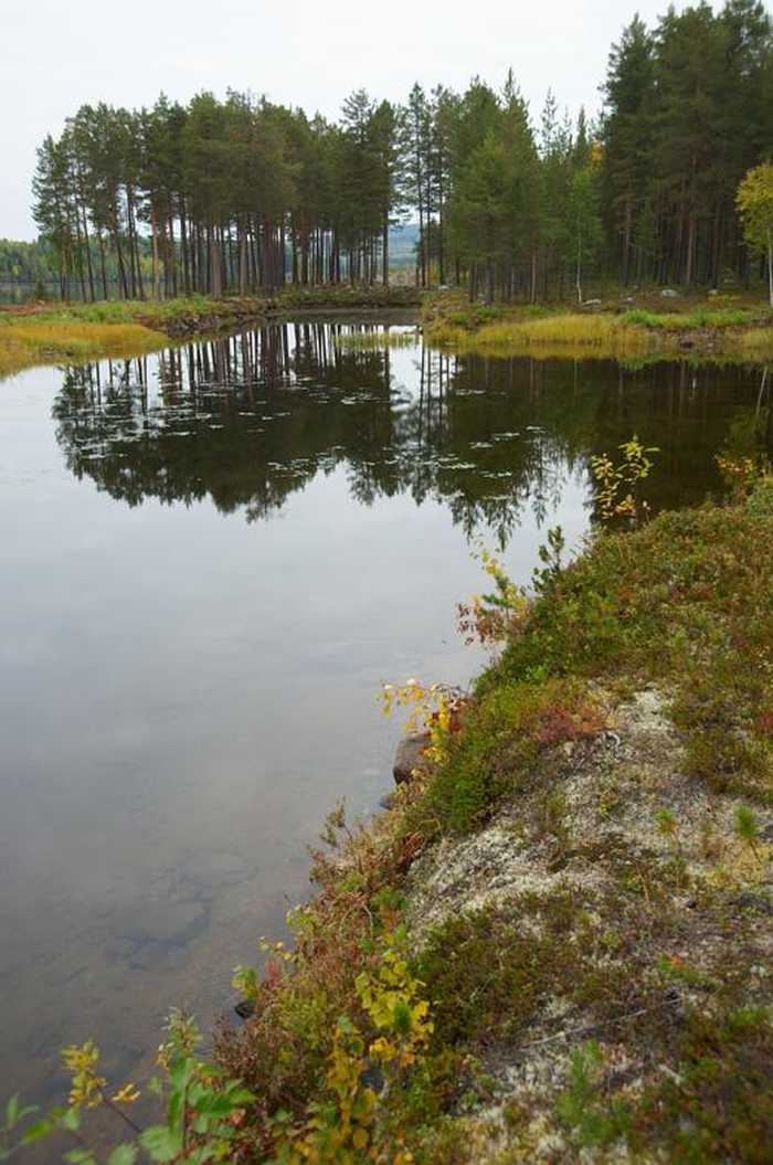 Bengt A Lundberg