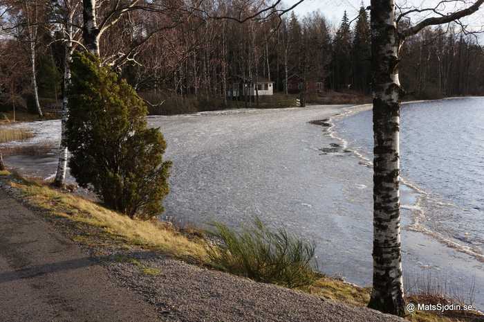 Mats Sjödin